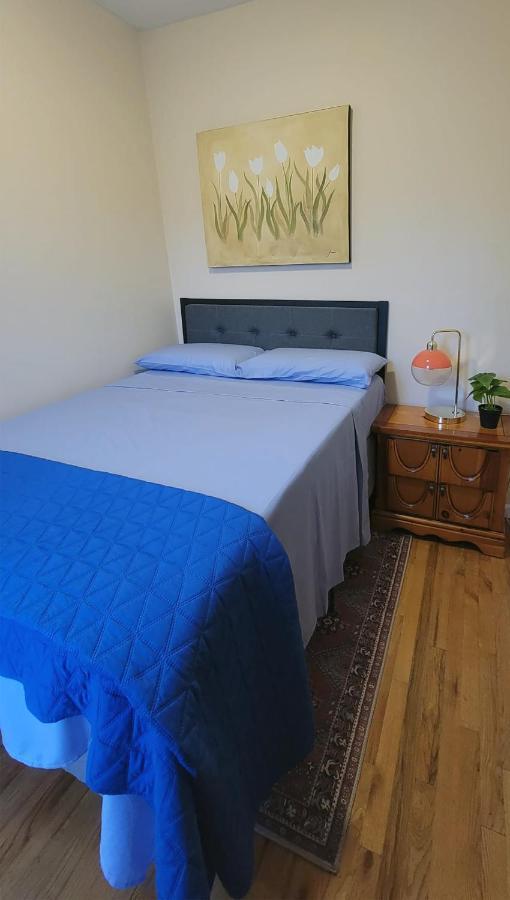 Bright & Cozy East Williamsburg 2 Bedroom New York Exteriör bild